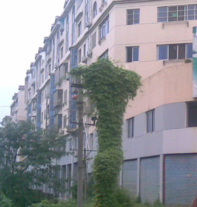 ����(d��ng)�a(ch��n)������