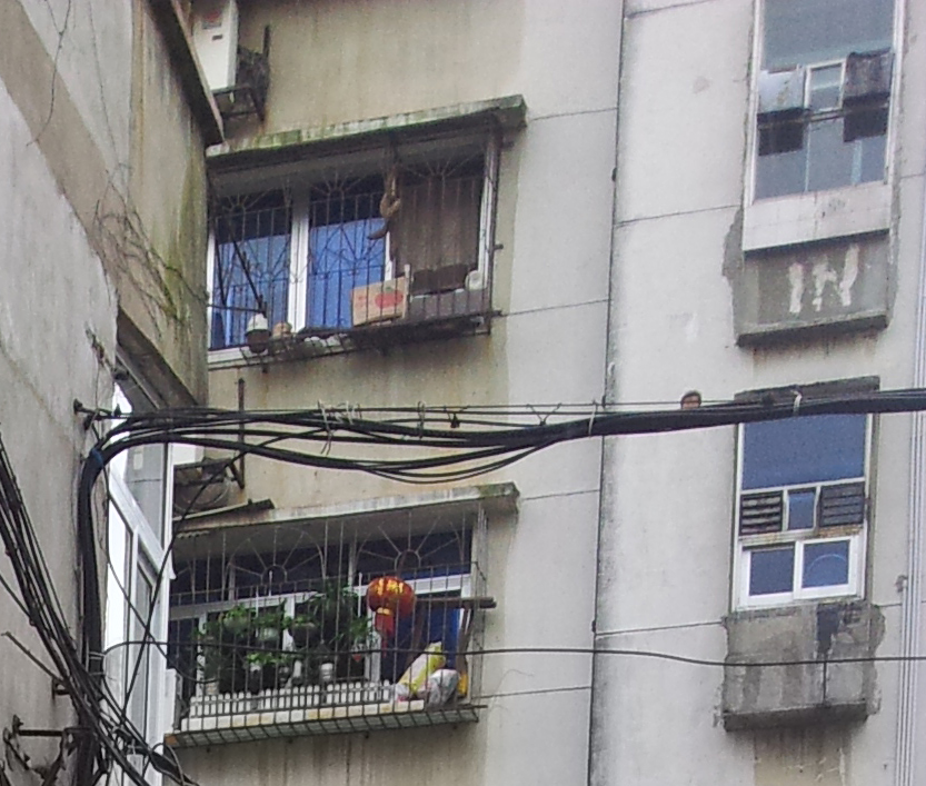 ����(d��ng)�a(ch��n)������